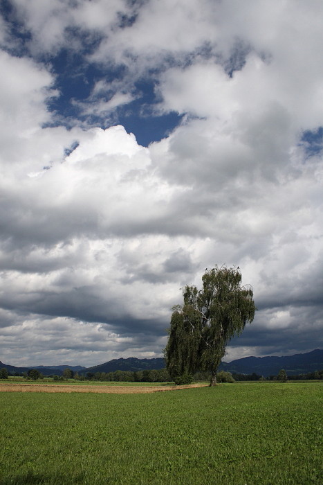Landschaft im Hochformat