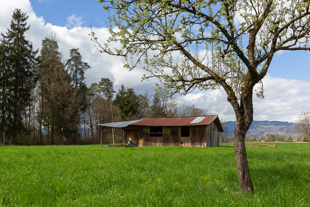 Mit dem Rad unterwegs 2