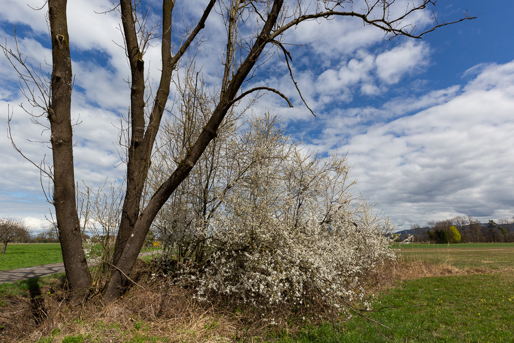Mit dem Rad unterwegs 3