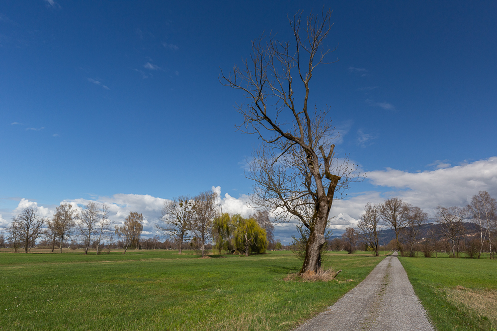Mit dem Rad unterwegs 7