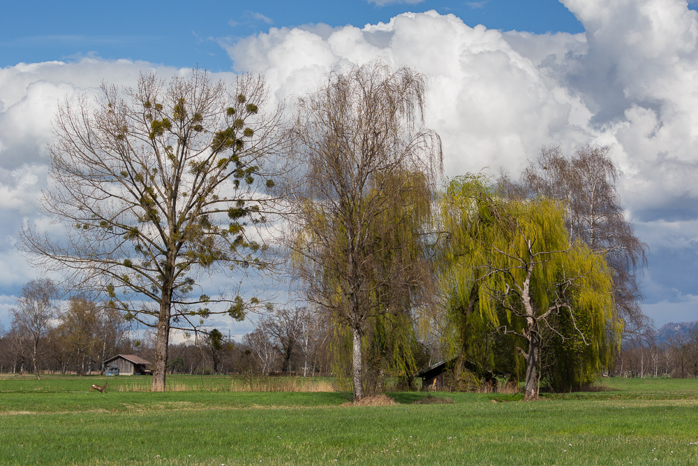 Mit dem Rad unterwegs 8