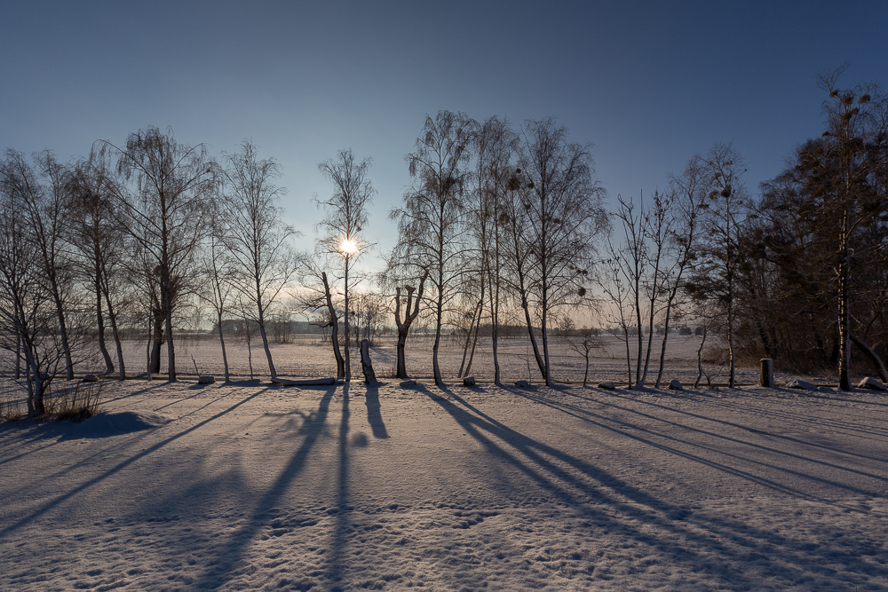 Winter - Impressionen Februar 2019