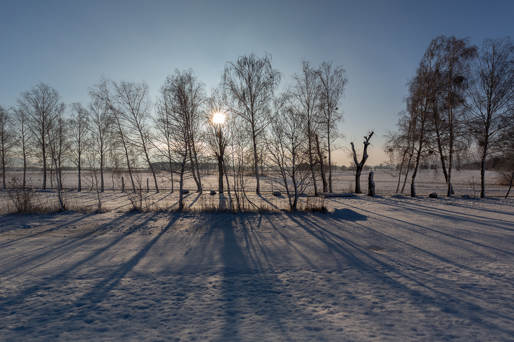 Winter - Impressionen Februar 2019