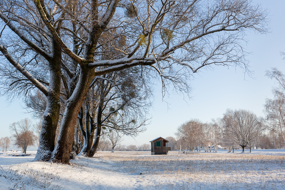 Winter - Impressionen Februar 2019