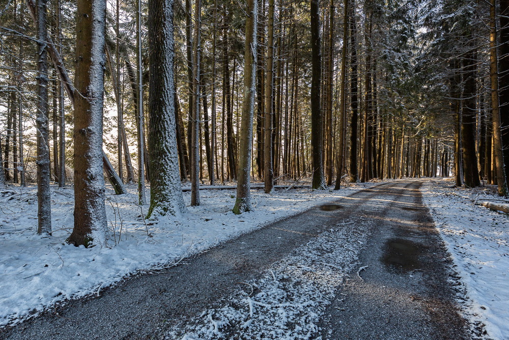 Winter - Impressionen Februar 2019