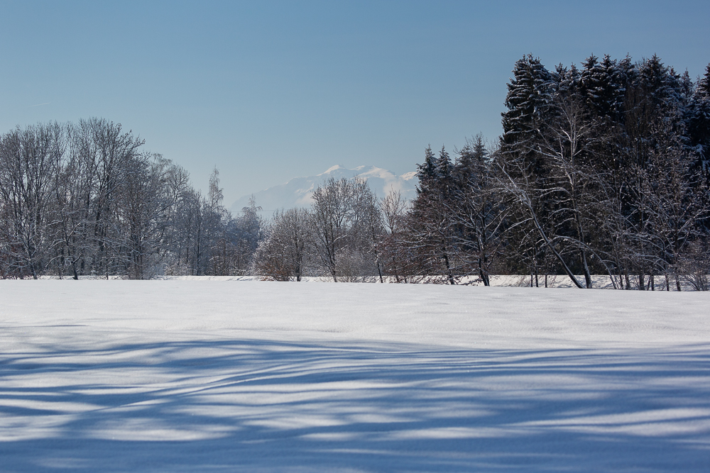Winter - Impressionen Februar 2019