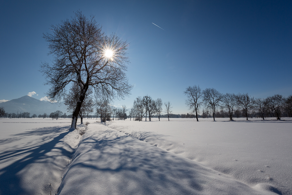 Winter - Impressionen Februar 2019