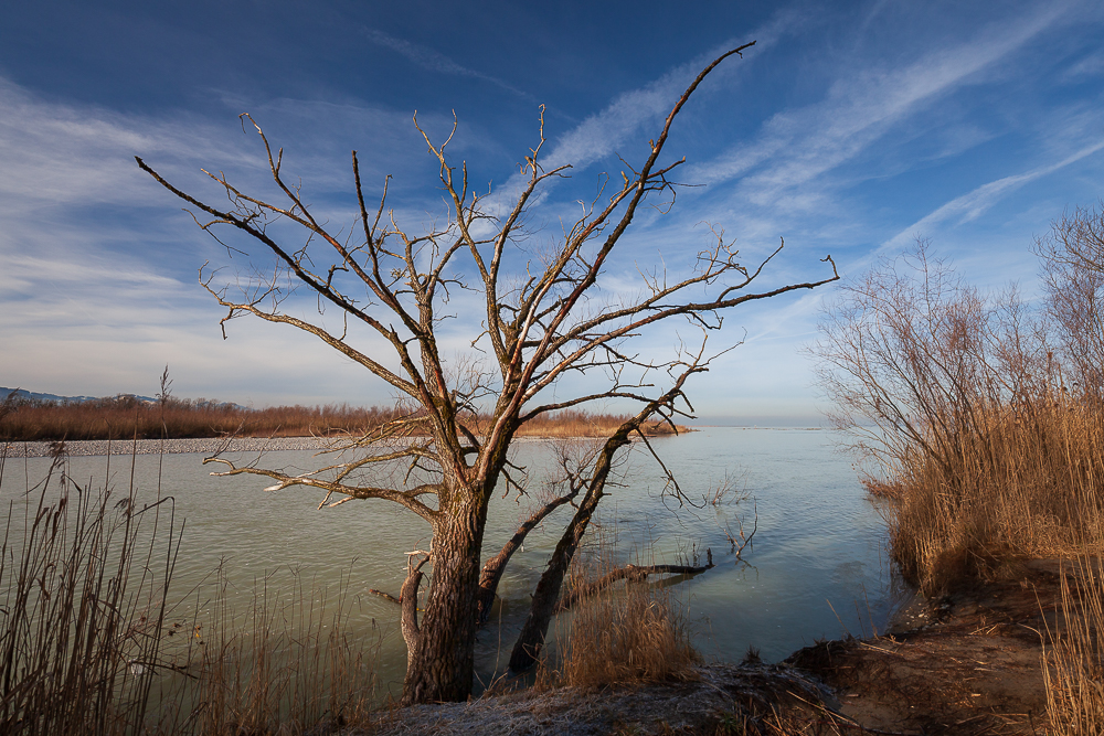 Bregenzer - Achmündung 1