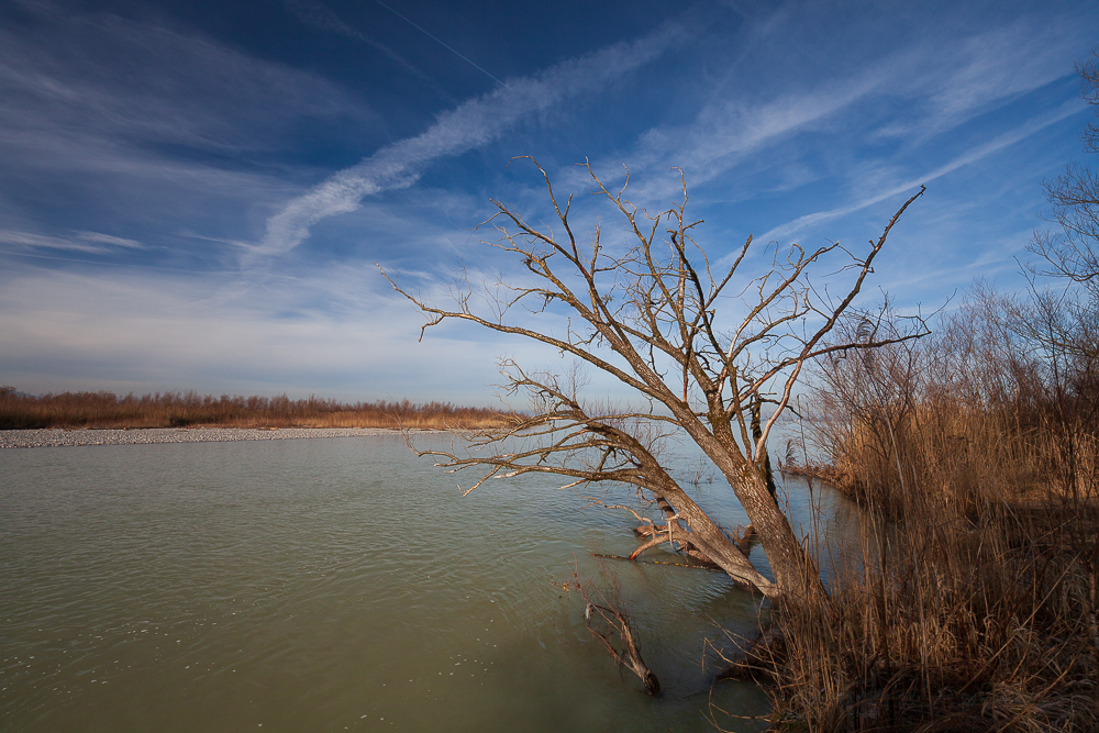 Bregenzer - Achmündung 2