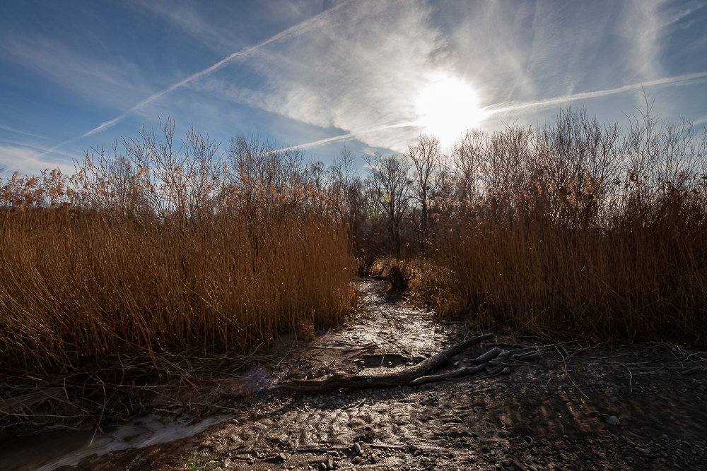 Bregenzer - Achmündung 4