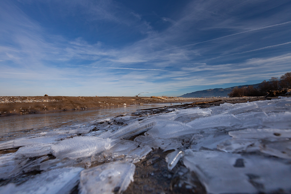 Bregenzer - Achmündung 8