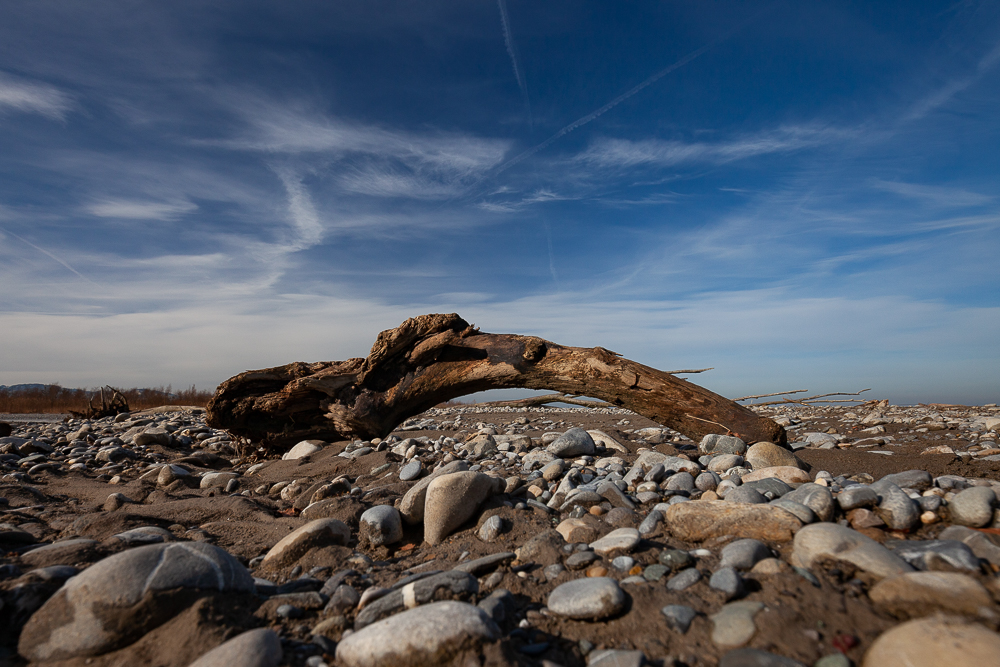 Bregenzer - Achm&uuml;ndung 11