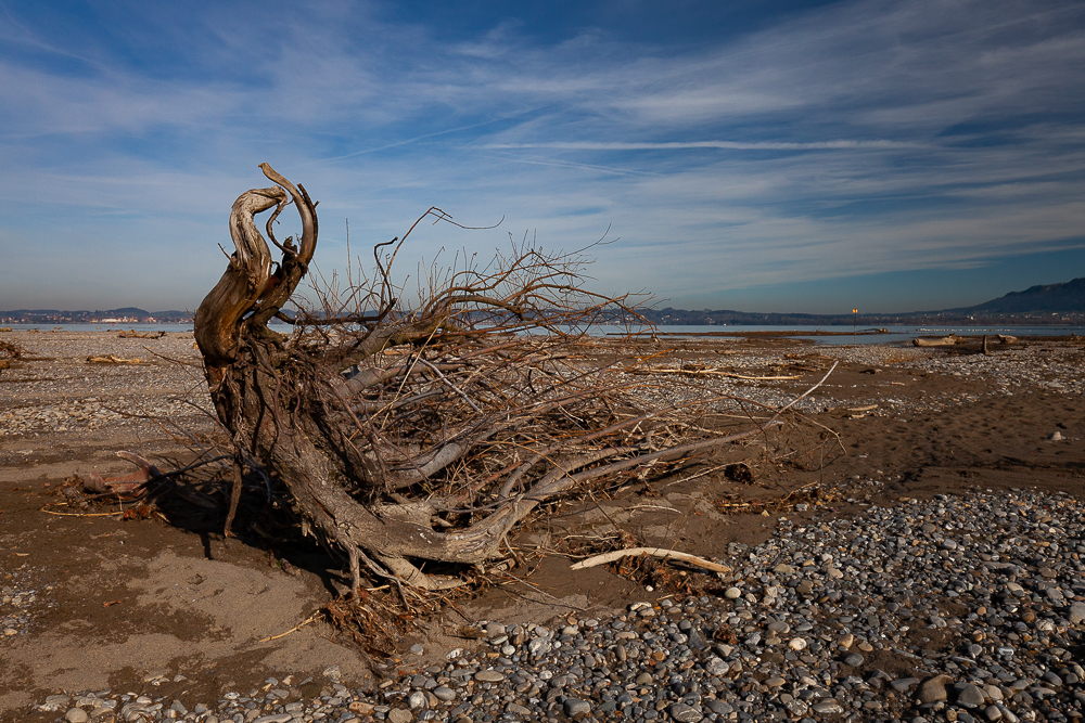 Bregenzer - Achm&uuml;ndung 12