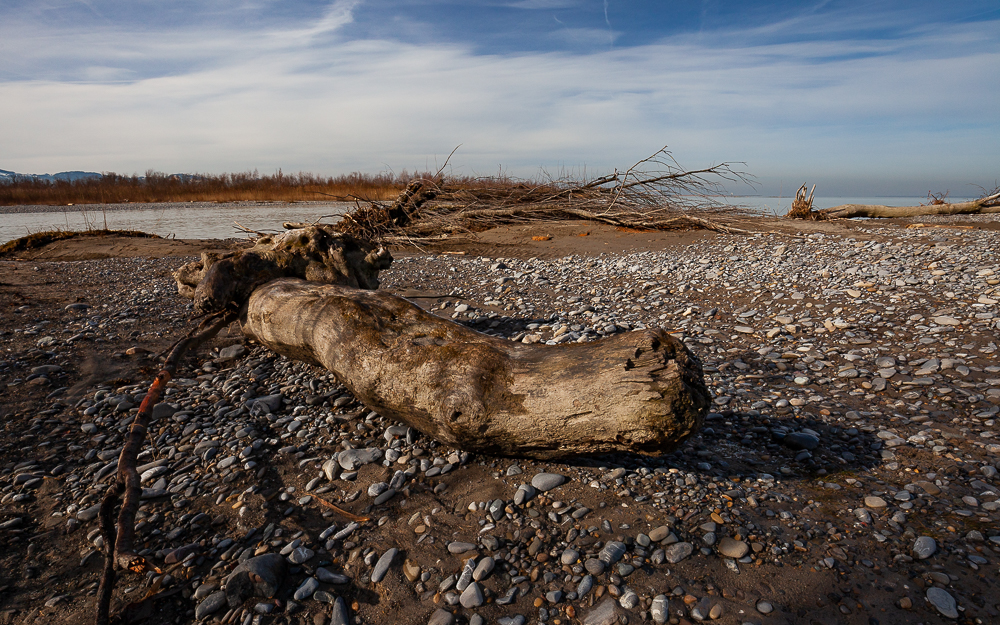 Bregenzer - Achm&uuml;ndung 13