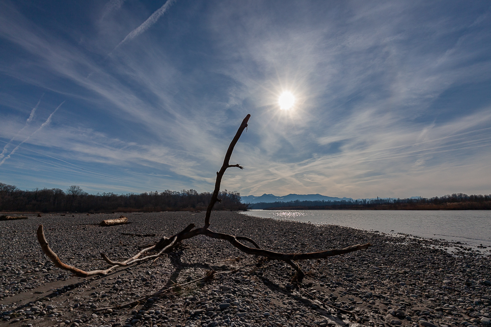 Bregenzer - Achm&uuml;ndung 14
