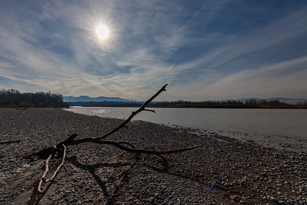 Bregenzer - Achm&uuml;ndung 15