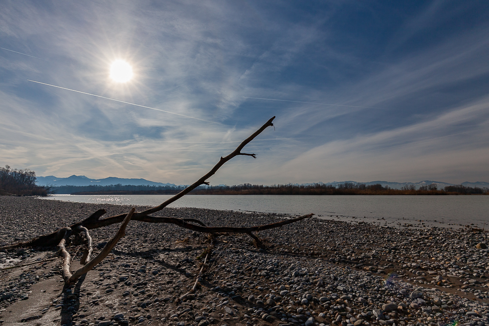 Bregenzer - Achm&uuml;ndung 16