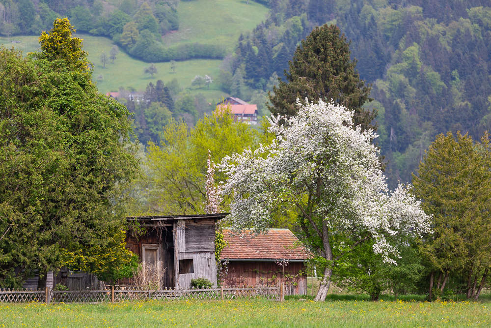 Vorfreude auf den Frühling