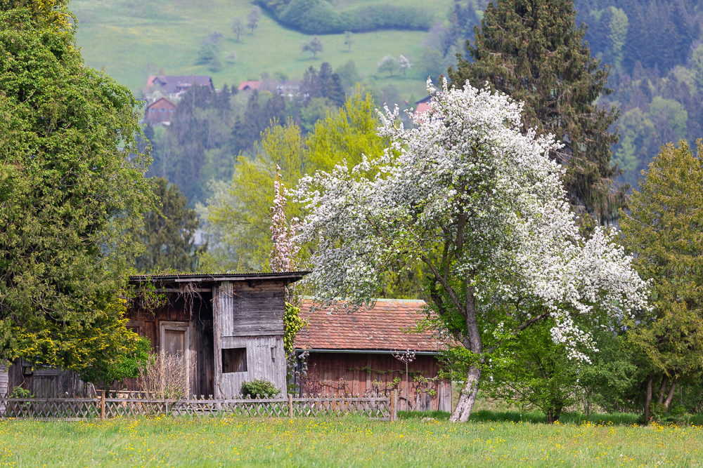Vorfreude auf den Frühling