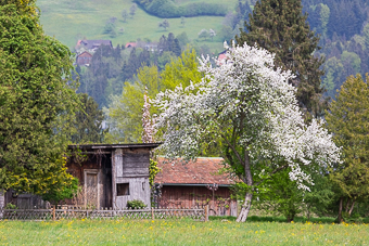 Vorfreude auf den Frühling