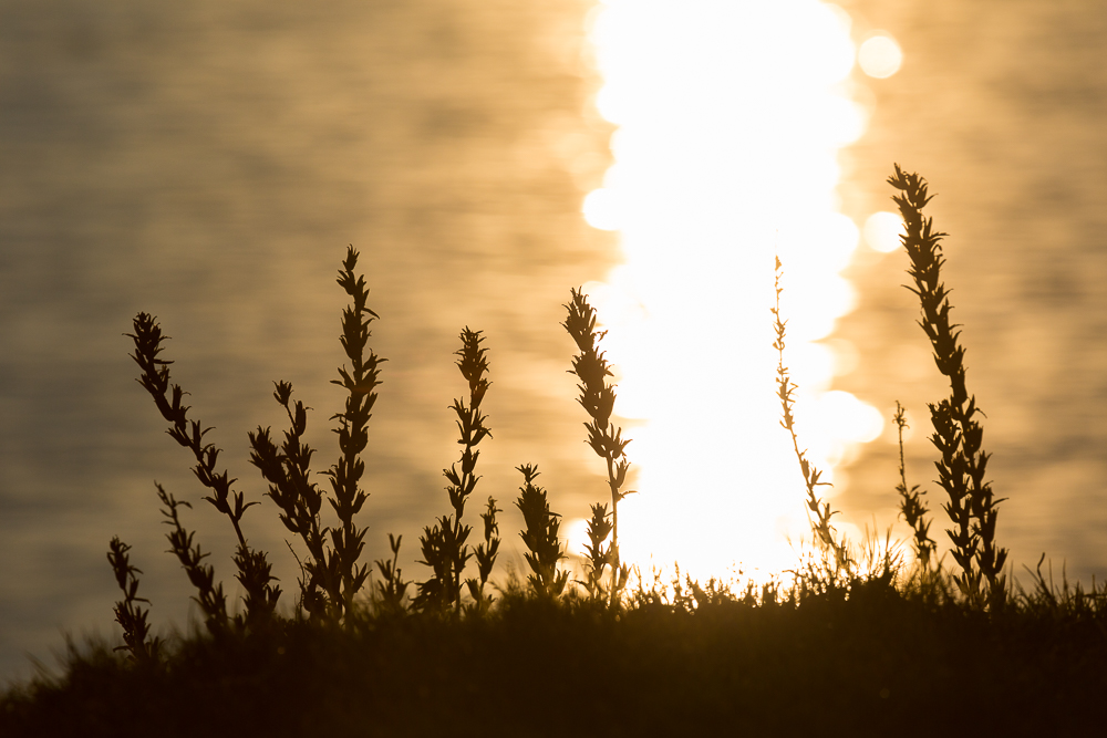 Sonnenuntergang am See