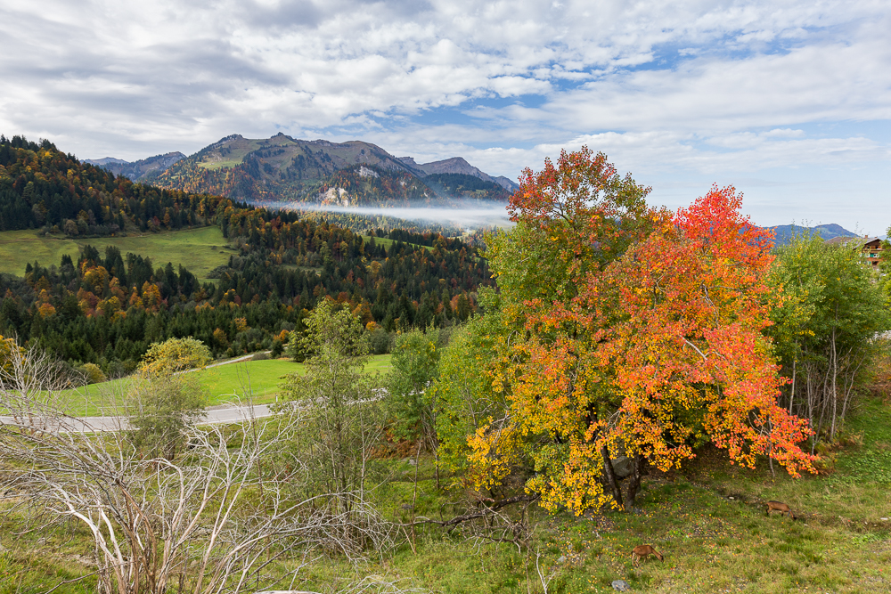 Herbst im Bregenzerwald 2