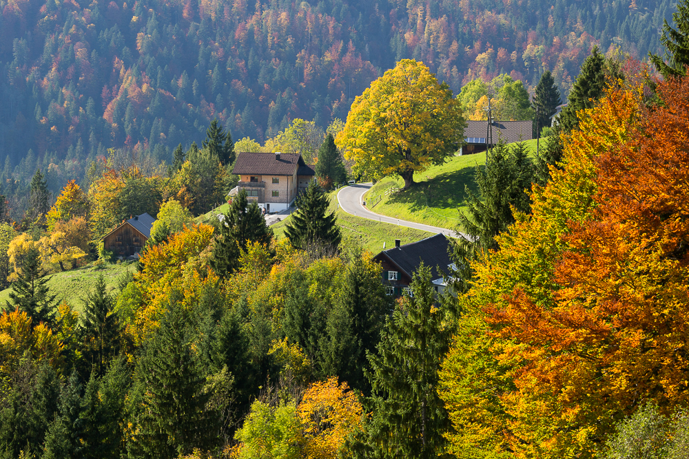 Herbst im Bregenzerwald 8