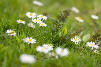 Vorfreude auf den Frühling