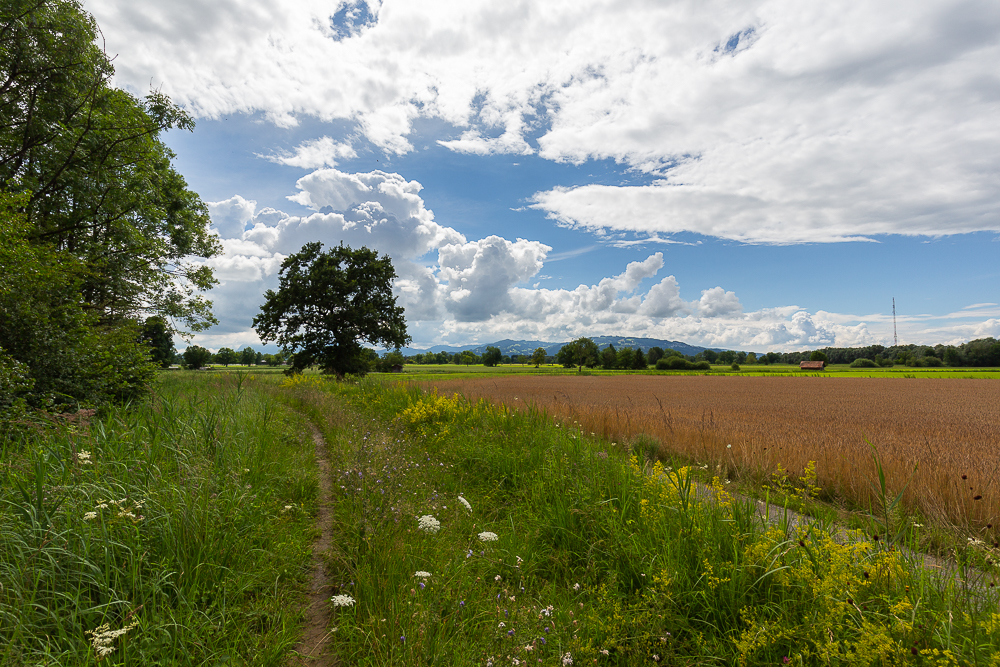 Landschaften im Juli 5