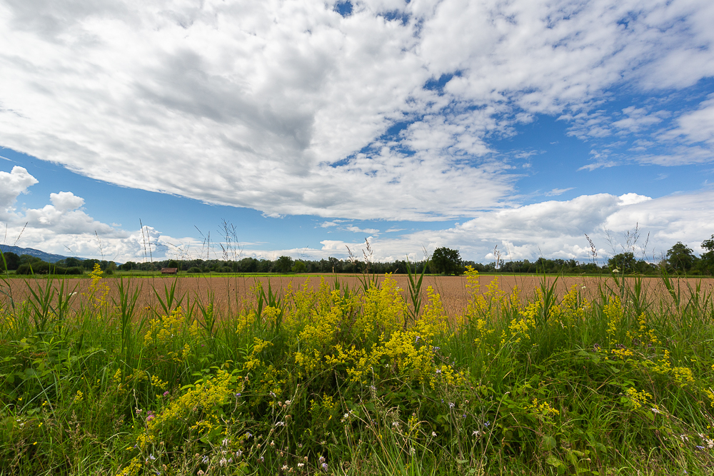Landschaften im Juli 6