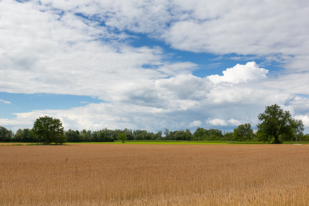 Landschaften im Juli 7