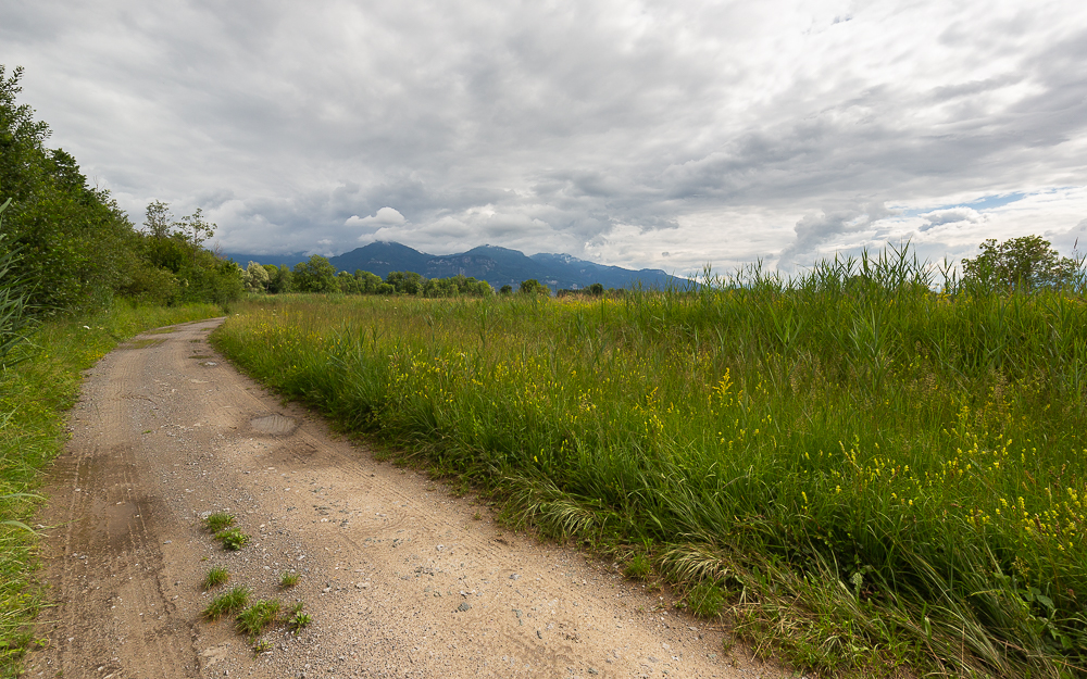 Landschaften im Juli 8