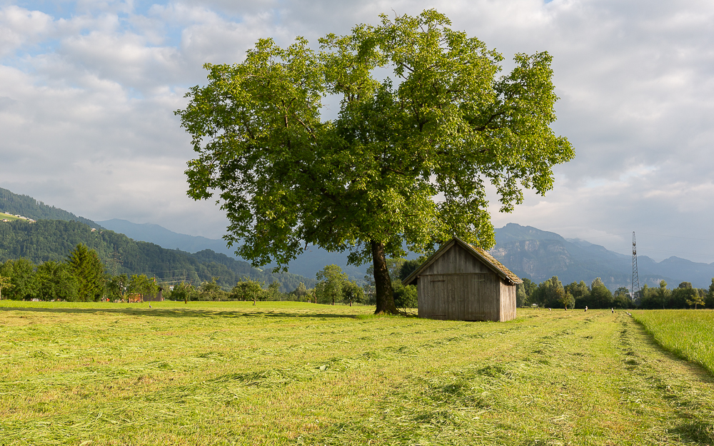 Landschaften im Juli 10