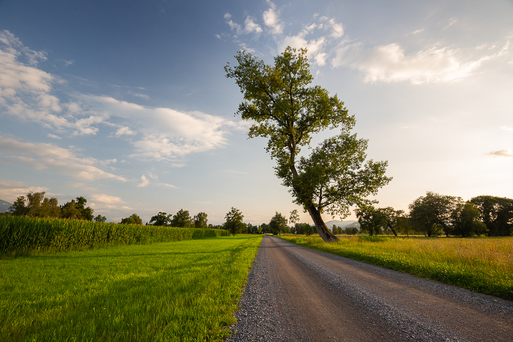 Landschaften im Juli 13