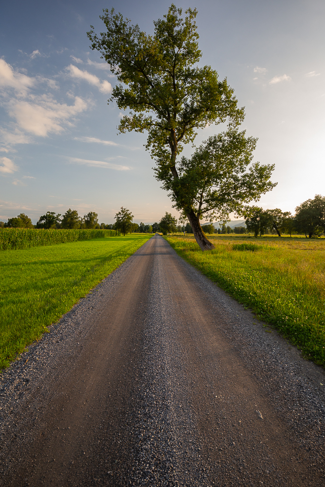 Landschaften im Juli 14