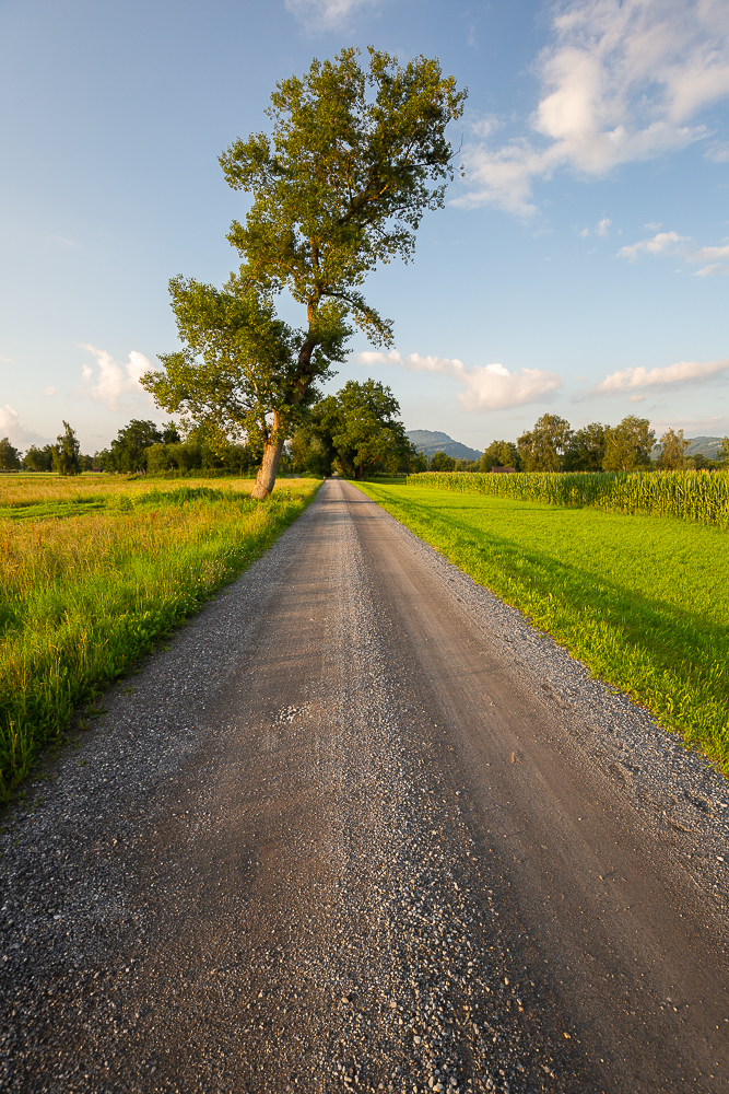 Landschaften im Juli 15