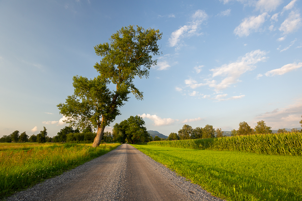 Landschaften im Juli 16