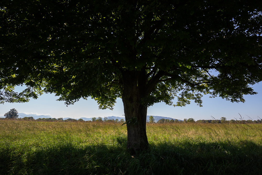 September Impressionen 3