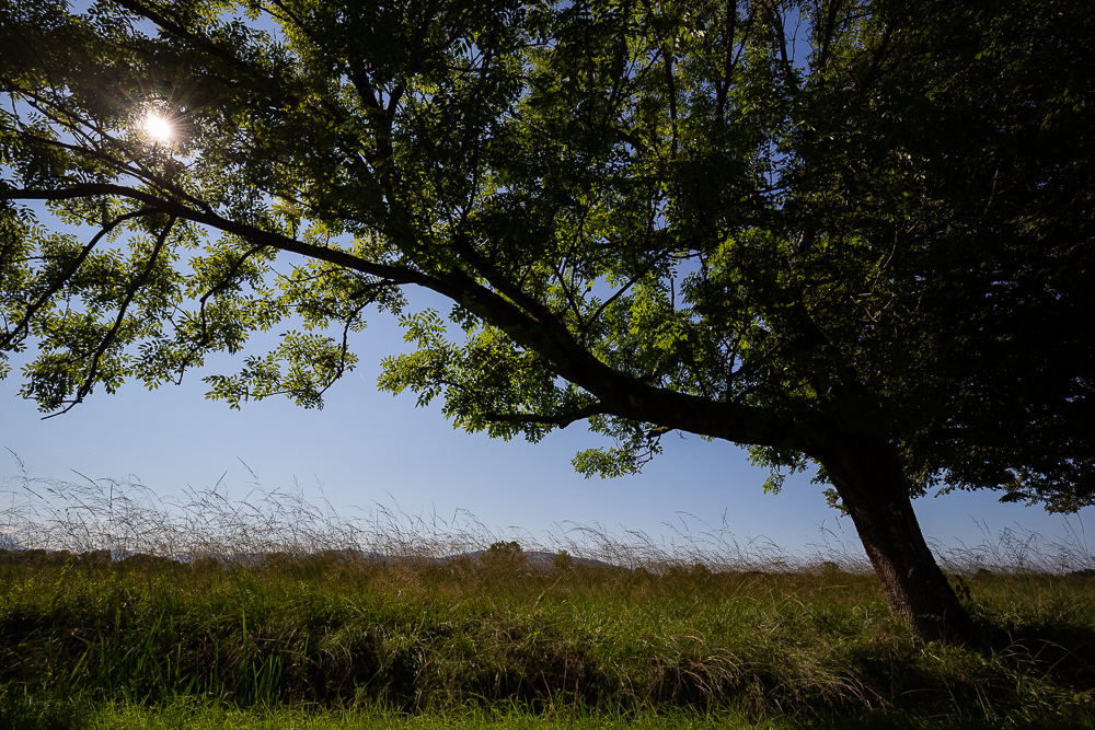 September Impressionen 4