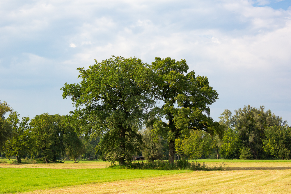 September Impressionen 5