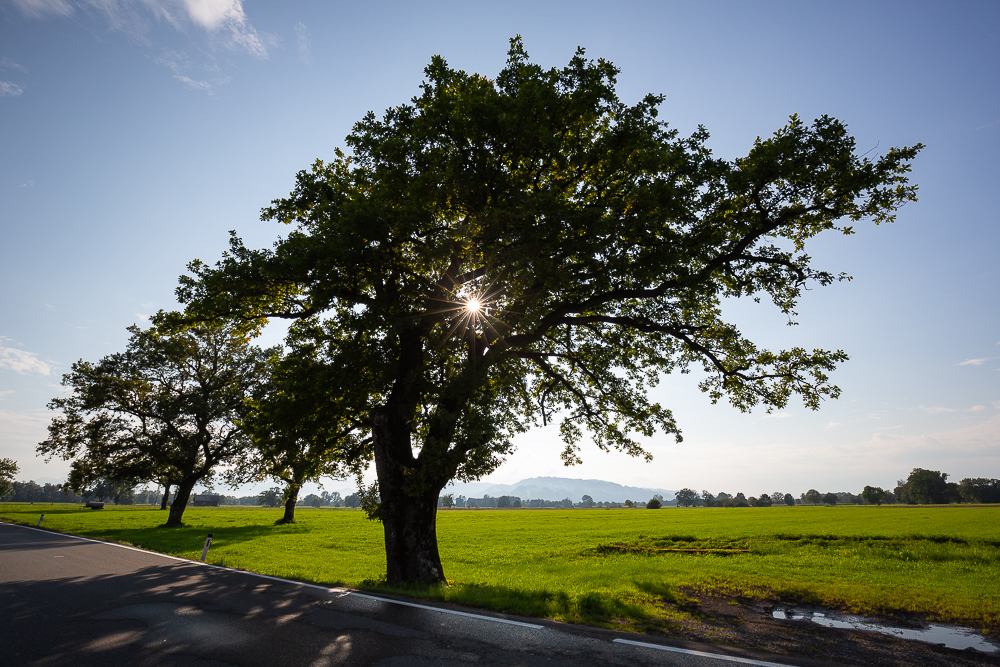 September Impressionen 6