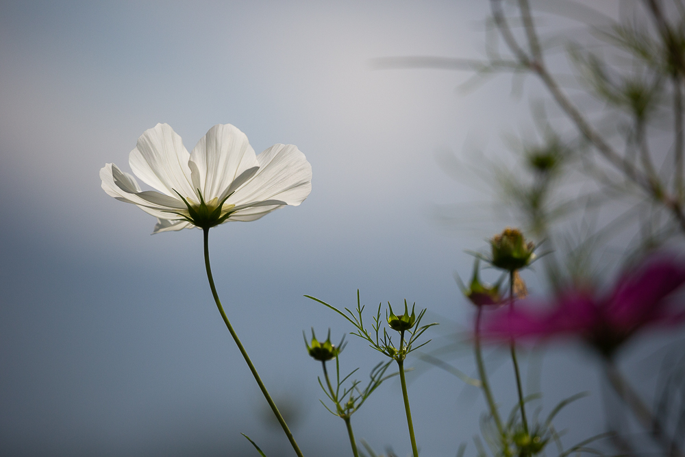 September Impressionen 14