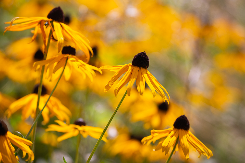 September Impressionen 15