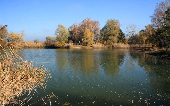 Schleienlöcher im November
