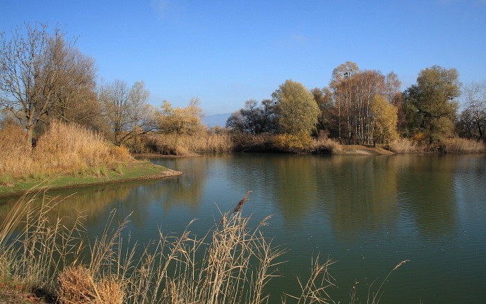 Schleienlöcher im November