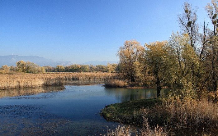 Schleienlöcher im November