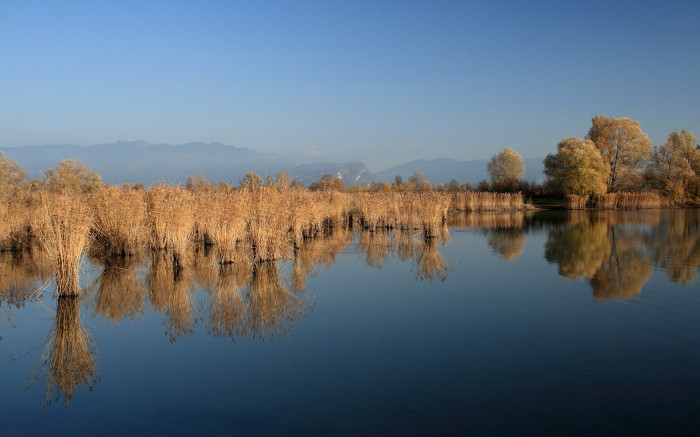 Schleienlöcher im November