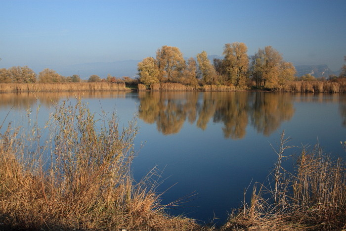 Schleienlöcher im November