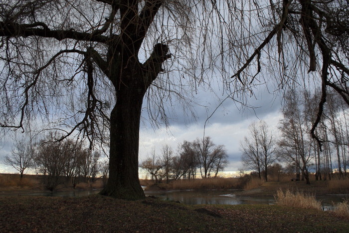 Schleienlöcher im November