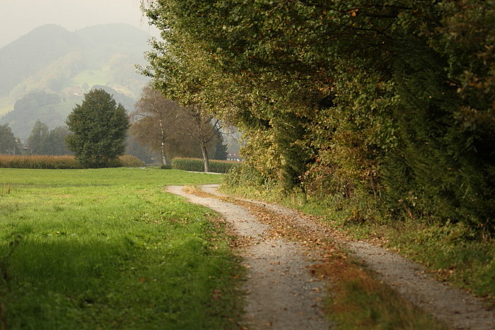 Herbst im Schweizerried